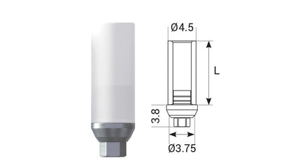 Castable Abutment